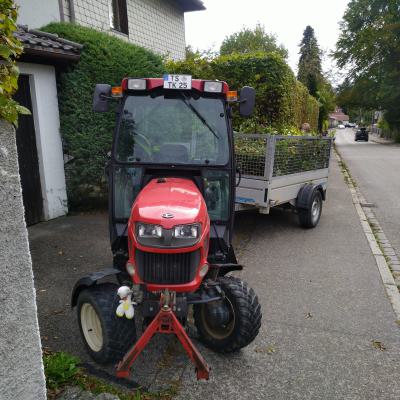 Hecke entsorgen