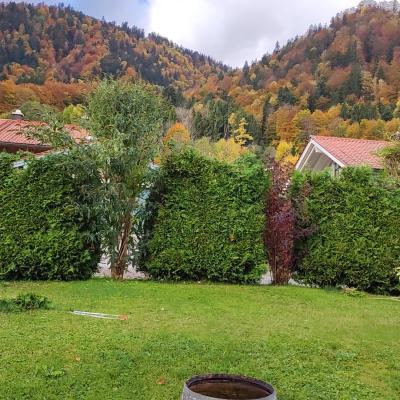 Hecke 1