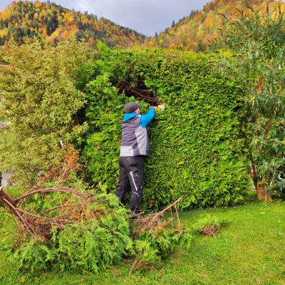 Hecke
